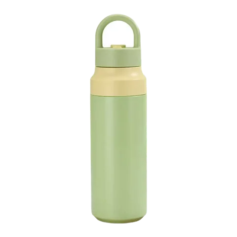 Double Wall Thermal Water Bottle, model VF0004